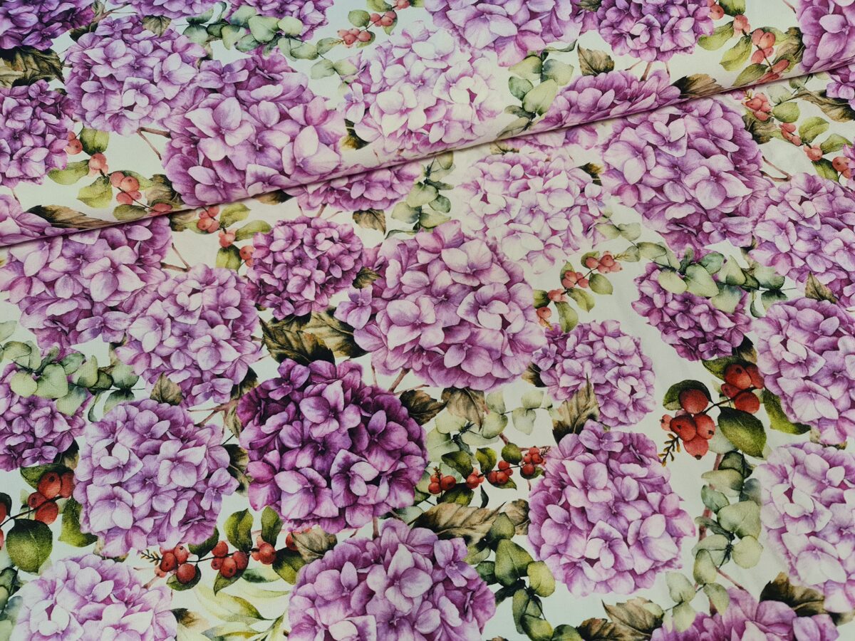 Violetas hortenzijas uz balta fona, viskozes trikotāža