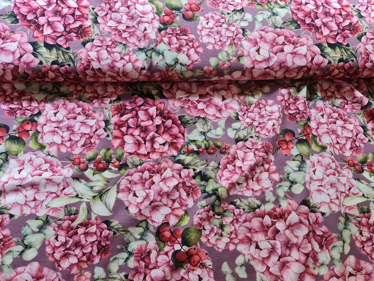 Rozā hortenzijas uz mauves fona 