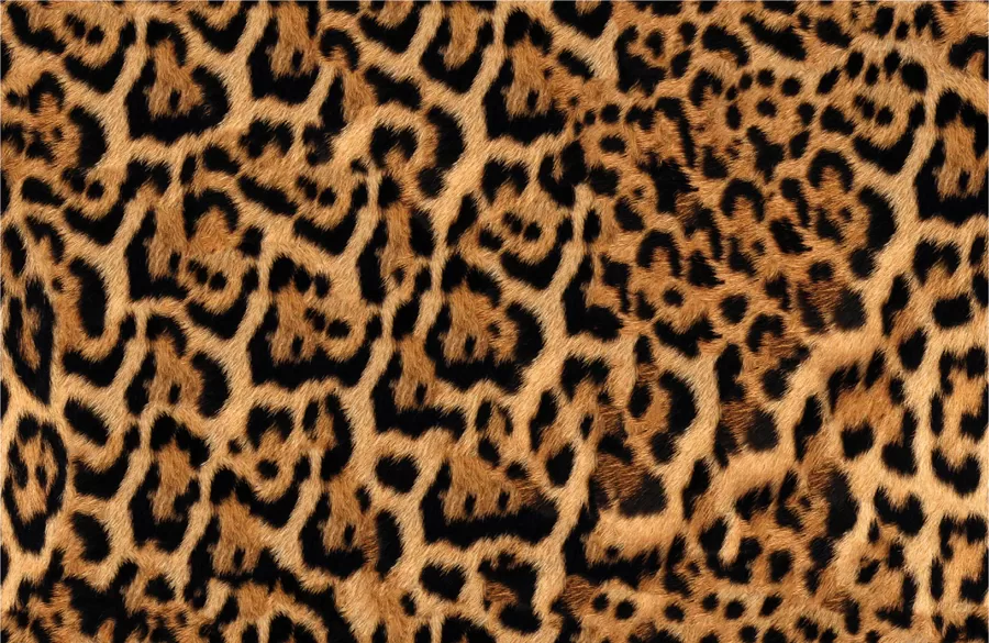 Priekšpasūtījums_ūdensnecaurlaidīgs audums_apdrukāts_leopards 