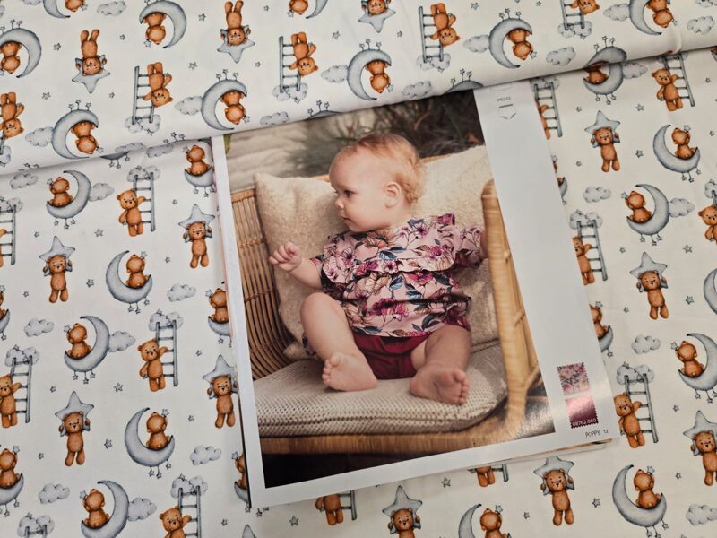 Bears on the stairs, cotton jersey
