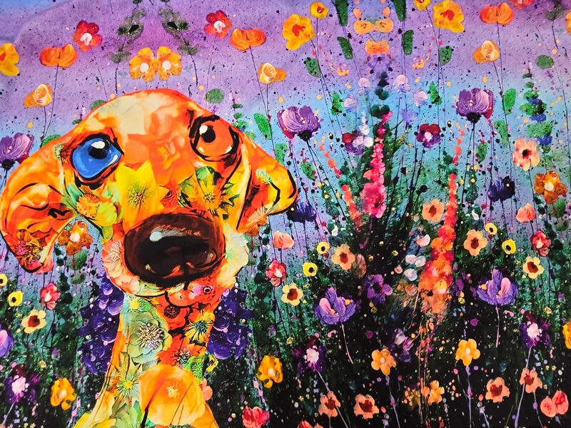 Colorful dog, panel, cotton jersey 