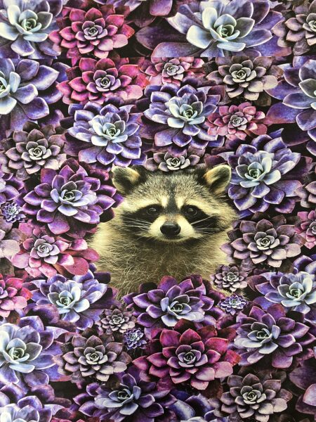 Raccoon in succulents, panel, cotton french terry 