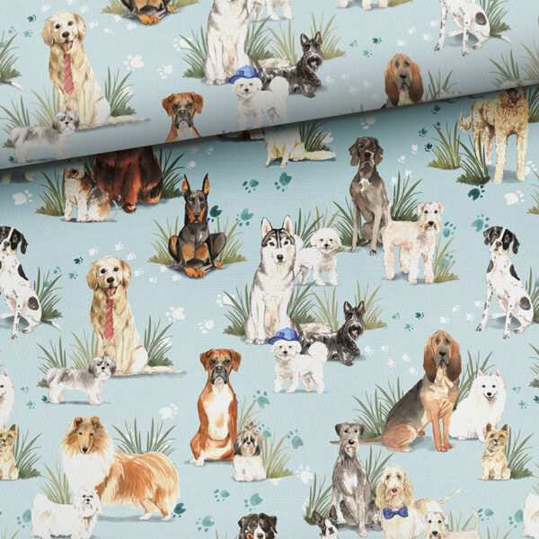 Dogs, cilpiņtrikotāža, priekšpasūtījums