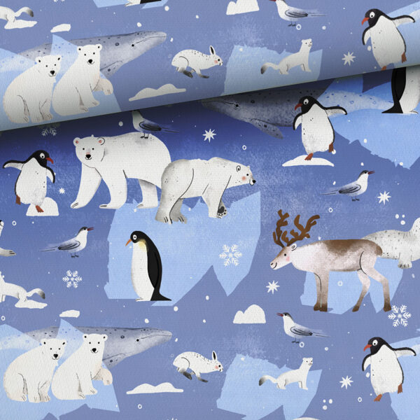 Arctic Tales, cilpiņtrikotāža, priekšpasūtījums