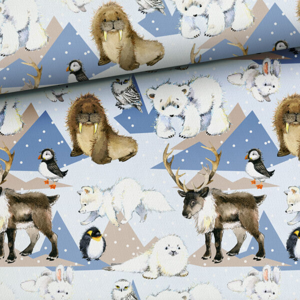 Polar Pets, cilpiņtrikotāža, priekšpasūtījums