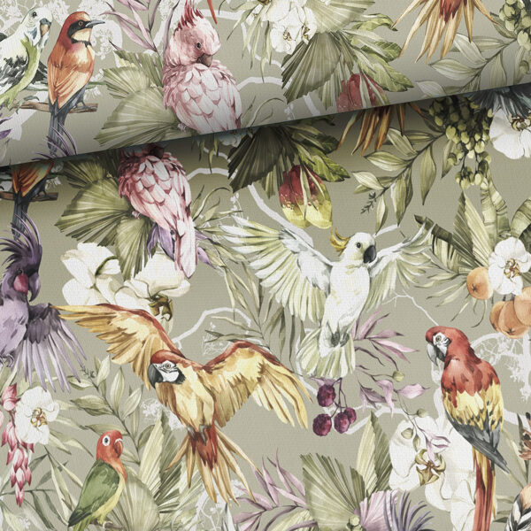 Parrots, cilpiņtrikotāža, priekšpasūtījums